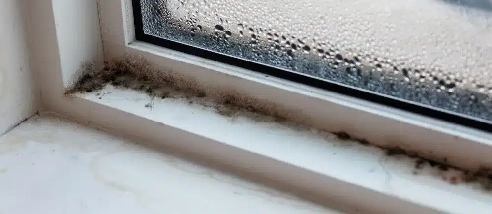 get rid of mould at home - how to reduce mold in house - Time4Cleaning